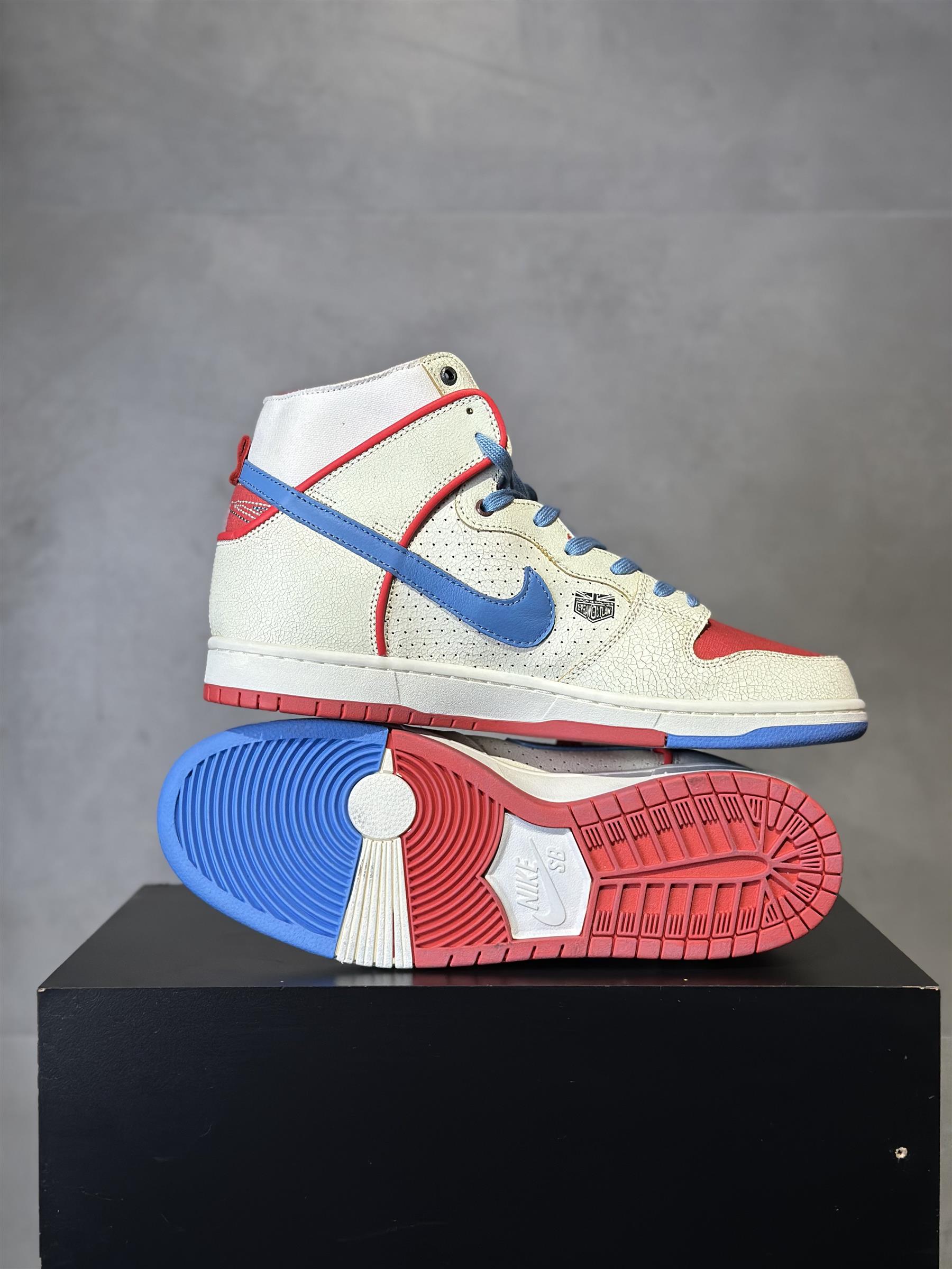 Nike Dunk High x Magnus Walker